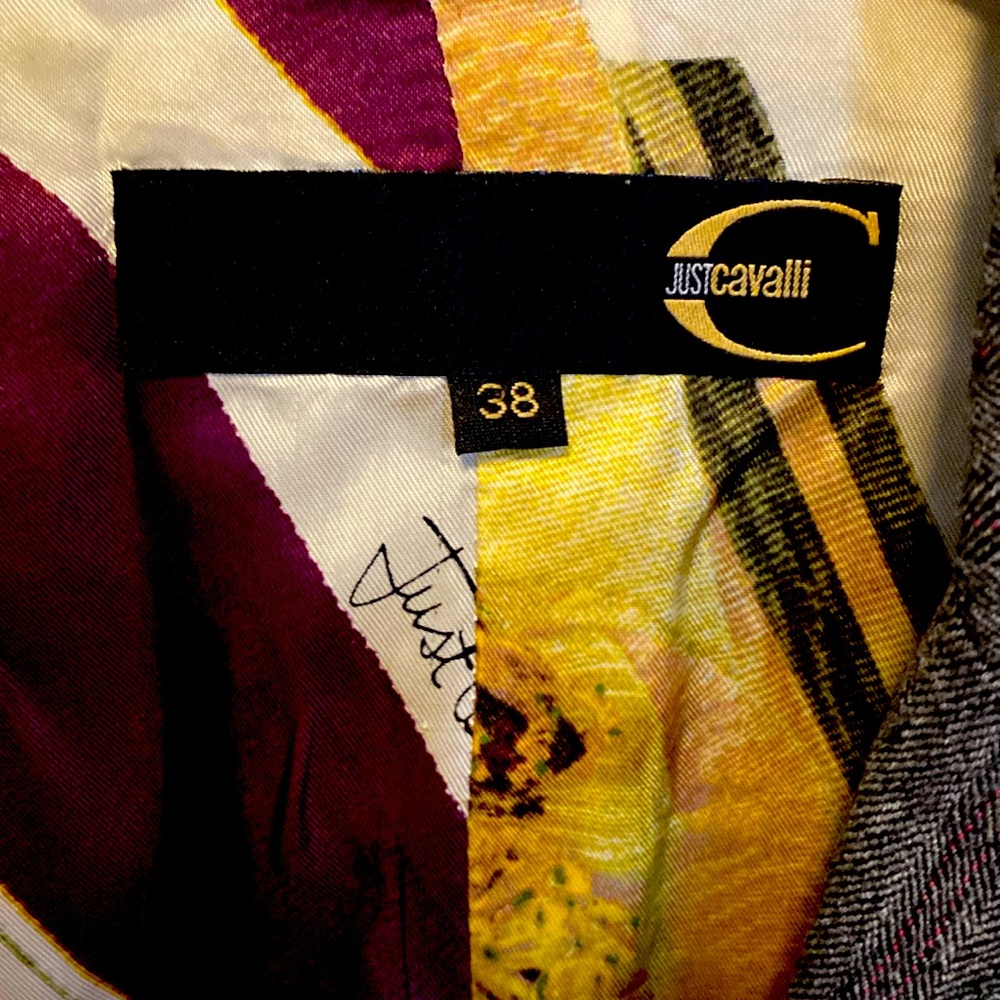 Just Cavalli jacket- vintage- purchased in Vienna, Austria.